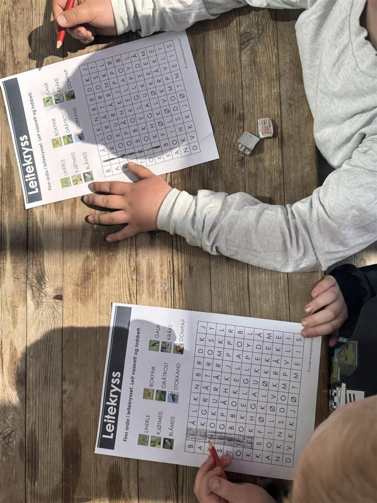Fuglerebus - Klikk for stort bilete